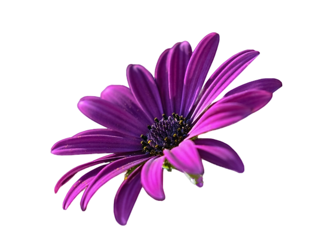 Purple Flower Printable Diamond Painting Pattern - A Homespun Hobby