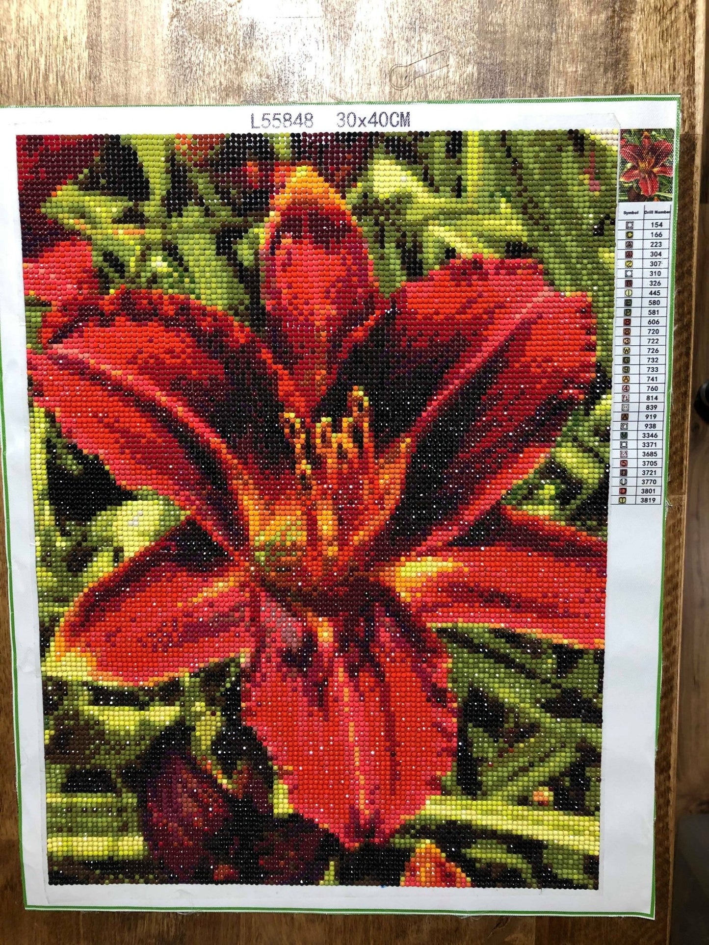 Red Spider Lily Diamond Painting Kit - by Diane Nadolny Art - A Homespun Hobby