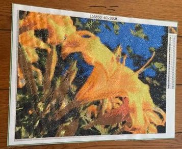 Wake to Face The Day Diamond Art Painting Kit - by Diane Nadolny Art - A Homespun Hobby