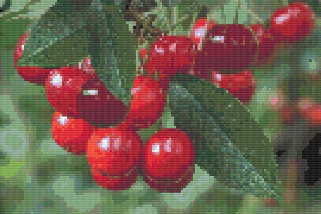 Jewels of the Orchard Diamond Painting Canvas - Art by Sals - A Homespun Hobby
